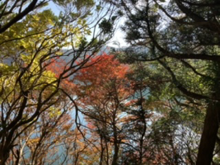 紅葉の隙間から韓国岳が美しい